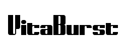 VitaBurst - logo